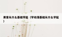 黑客从什么基础学起（学动漫基础从什么学起）