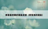 黑客最想要的键盘皮肤（黑客用的键盘）