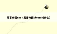 黑客帝国sm（黑客帝国steam叫什么）