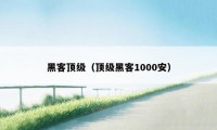 黑客顶级（顶级黑客1000安）