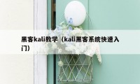 黑客kali教学（kali黑客系统快速入门）