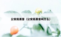 公安局黑客（公安局黑客叫什么）