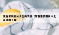 黑客来袭图片大全高清图（黑客来袭图片大全高清图下载）