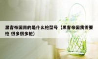 黑客帝国用的是什么枪型号（黑客帝国我需要枪 很多很多枪）