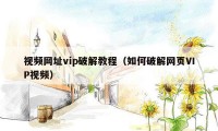 视频网址vip破解教程（如何破解网页VIP视频）