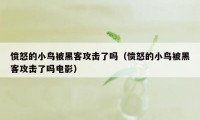 愤怒的小鸟被黑客攻击了吗（愤怒的小鸟被黑客攻击了吗电影）