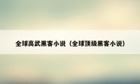 全球高武黑客小说（全球顶级黑客小说）