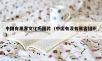 中国有黑客文化吗图片（中国有没有黑客组织）