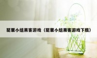 罂粟小组黑客游戏（罂粟小组黑客游戏下载）