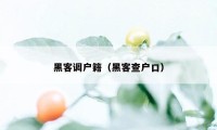 黑客调户籍（黑客查户口）