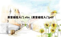 黑客编程入门.vbs（黑客编程入门pdf）