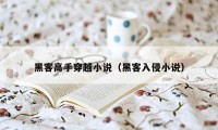 黑客高手穿越小说（黑客入侵小说）