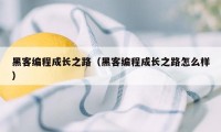 黑客编程成长之路（黑客编程成长之路怎么样）