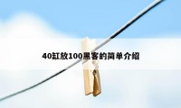 40缸放100黑客的简单介绍