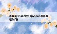 黑客python视频（python黑客编程入门）