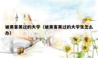 被黑客黑过的大学（被黑客黑过的大学生怎么办）