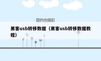 黑客usb转移数据（黑客usb转移数据教程）