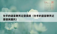 分手的语音聊天记录搞笑（分手的语音聊天记录搞笑图片）