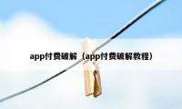 app付费破解（app付费破解教程）