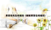 黑客危机在线播放（破解黑客在线播放）