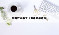 黑客攻温柔受（温柔受黑道攻）