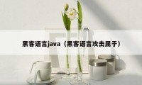 黑客语言java（黑客语言攻击属于）