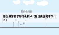 想当黑客要学好什么技术（想当黑客初学学什么）