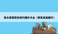 美女黑客壁纸简约图片大全（黑客桌面图片）