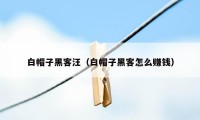 白帽子黑客汪（白帽子黑客怎么赚钱）