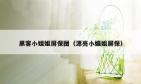 黑客小姐姐屏保图（漂亮小姐姐屏保）