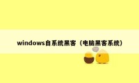 windows自系统黑客（电脑黑客系统）