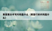 黑客展示手写代码是什么（黑客打的代码是什么）