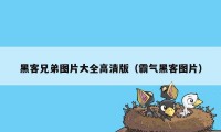 黑客兄弟图片大全高清版（霸气黑客图片）