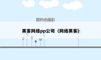 黑客网络pp公司（网络黑客）