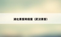 湖北黑客网络案（武汉黑客）