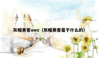 灰帽黑客awz（灰帽黑客是干什么的）