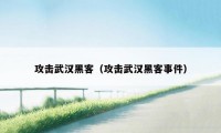 攻击武汉黑客（攻击武汉黑客事件）