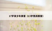 17岁青少年黑客（13岁男孩黑客）