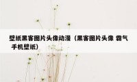 壁纸黑客图片头像动漫（黑客图片头像 霸气 手机壁纸）