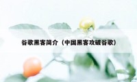 谷歌黑客简介（中国黑客攻破谷歌）