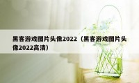 黑客游戏图片头像2022（黑客游戏图片头像2022高清）