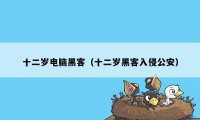 十二岁电脑黑客（十二岁黑客入侵公安）