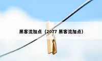 黑客流加点（2077 黑客流加点）