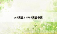 ps4黑客2（PS4黑客帝国）