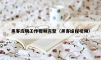 黑客应聘工作视频完整（黑客编程视频）