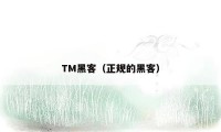 TM黑客（正规的黑客）