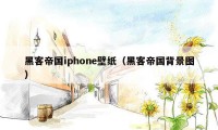 黑客帝国iphone壁纸（黑客帝国背景图）