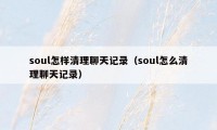 soul怎样清理聊天记录（soul怎么清理聊天记录）