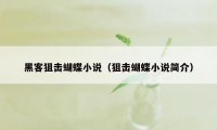 黑客狙击蝴蝶小说（狙击蝴蝶小说简介）