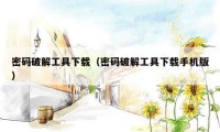 密码破解工具下载（密码破解工具下载手机版）